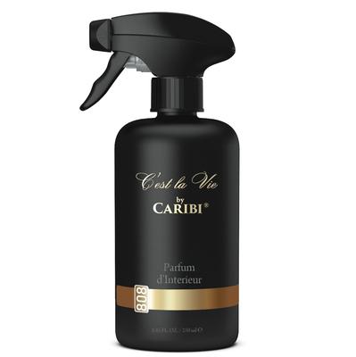 Auto smaržu aerosols VIP Paco Rabanne Invictus, 250 ml